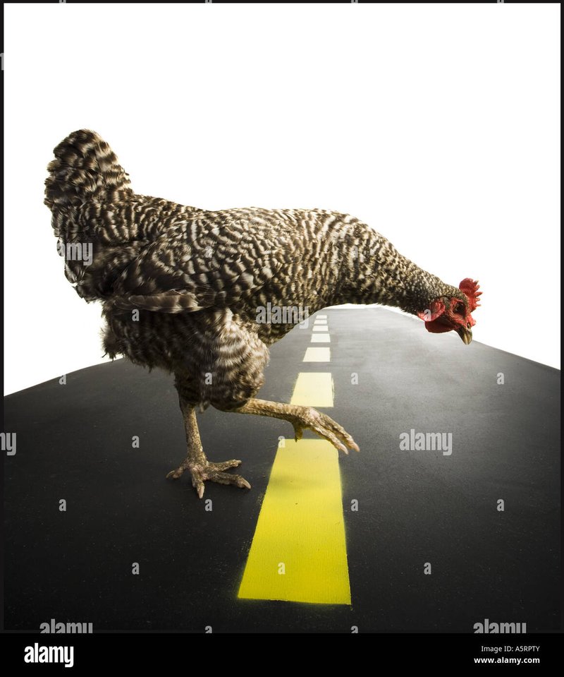 Explore chicken road online